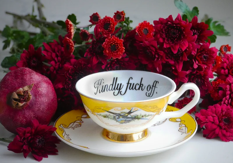 unique coffee cup -Yellow Havisham Bird Insult Cup and Saucer: Kindly fuck off