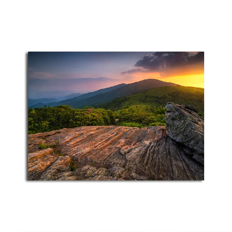 coastal geometric floral paintings-Appalachian Trail Roan Mountain state Park