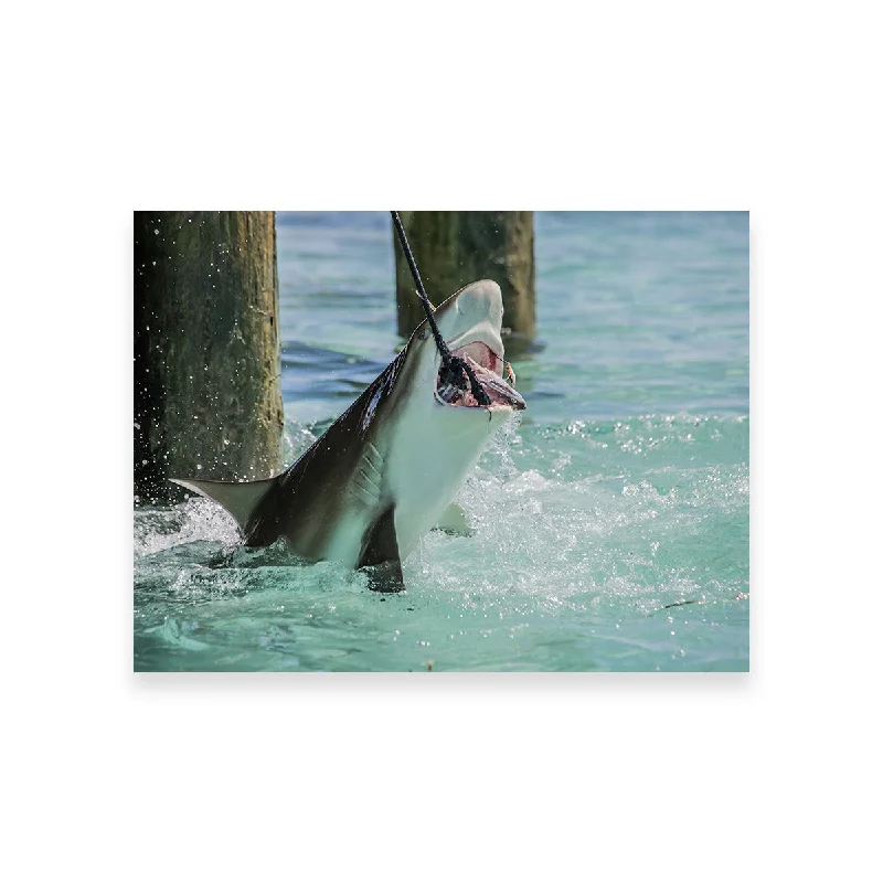 creative abstract beach nature wall art-Bull Shark Snacking