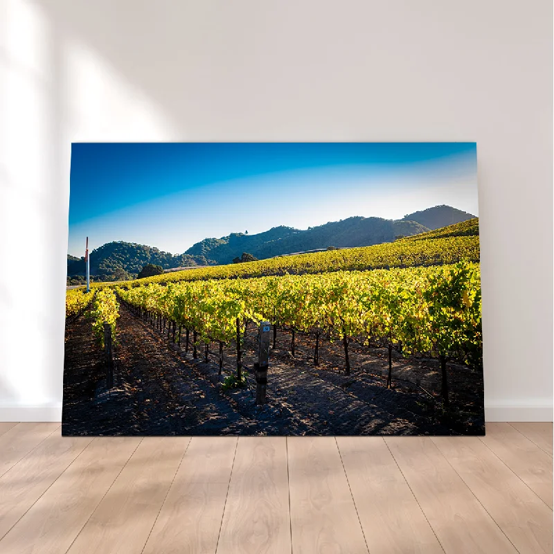 large geometric nature-inspired wall art-Central California Vineyard