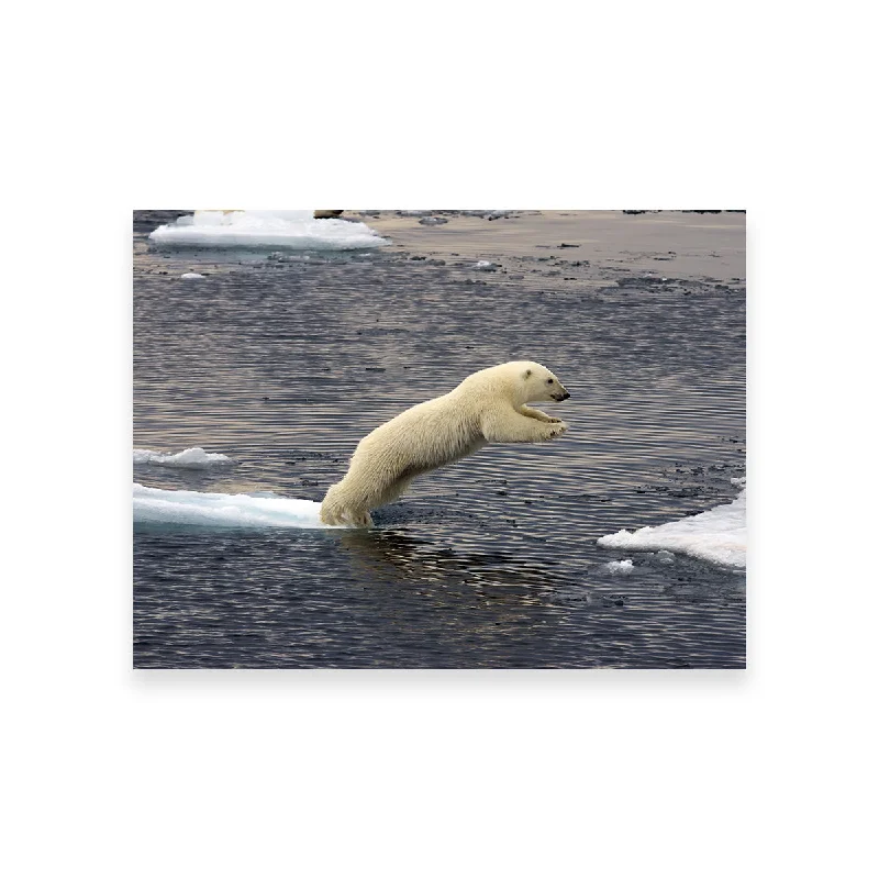 creative tropical large paintings-Jumping Polar Bear