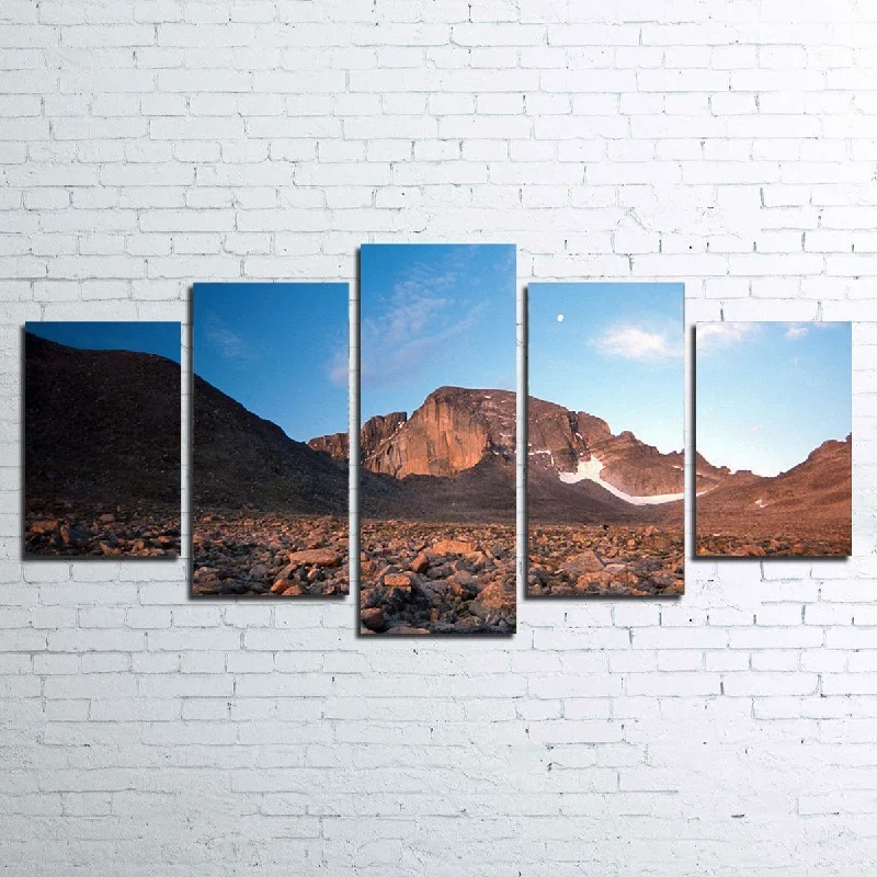 oversized contemporary floral paintings-Longs Peak Boulder Field Canvas Set