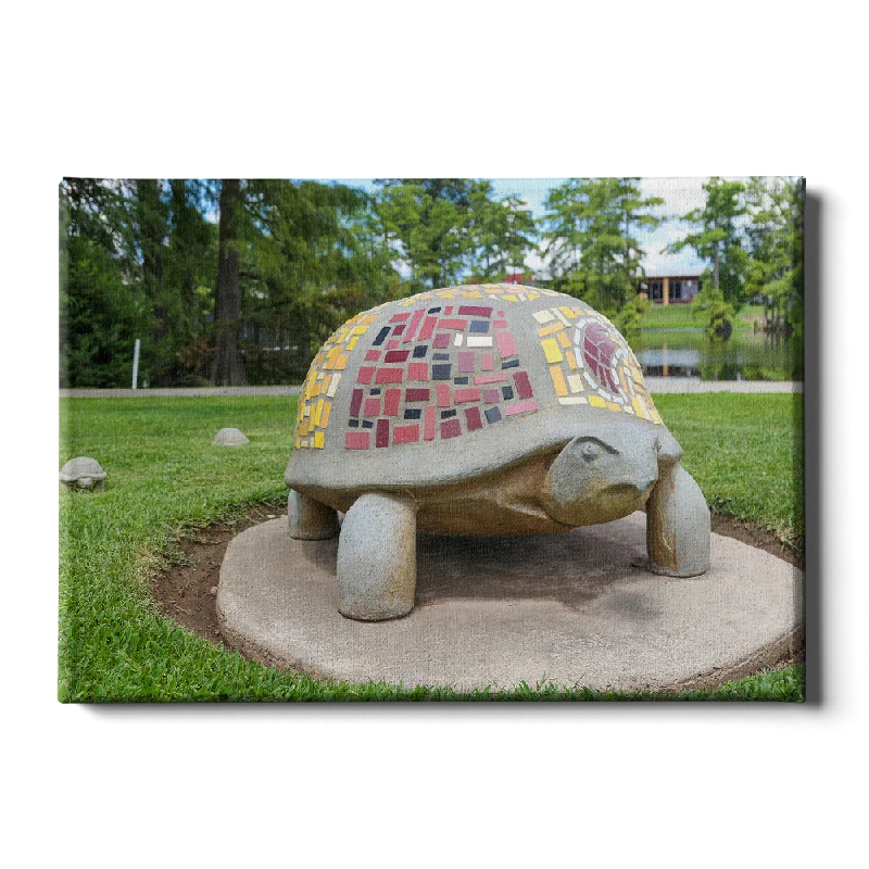 creative cityscape botanical wall art-Louisiana Monroe Warhawks - Bayou Park