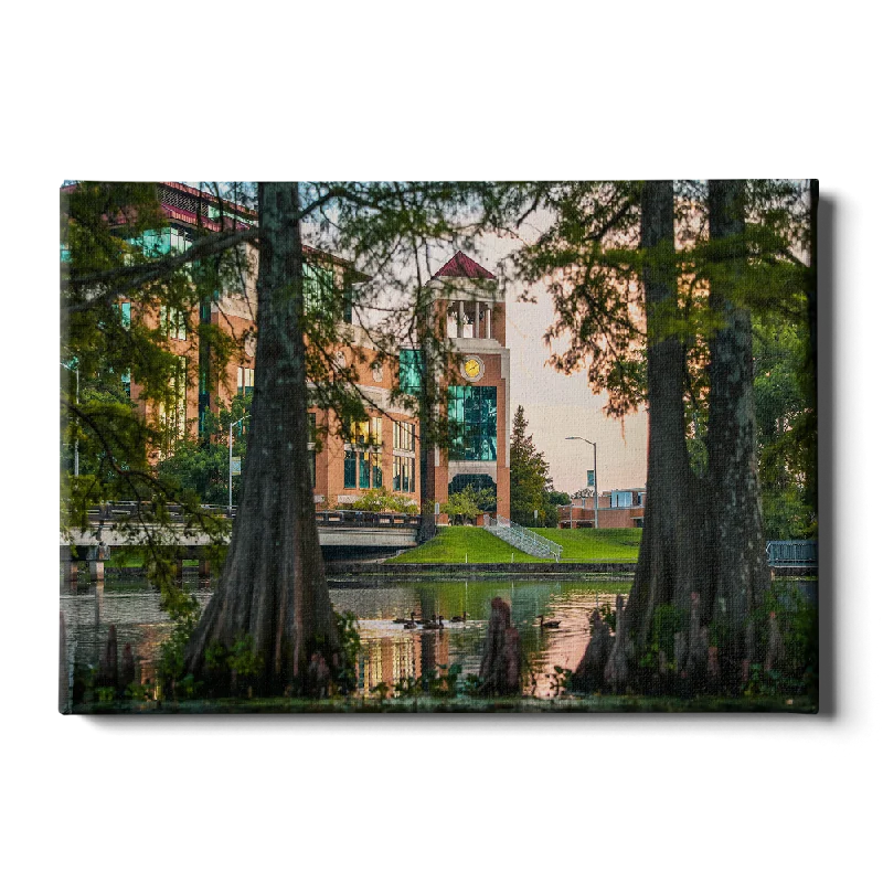 modern geometric botanical canvas paintings-Louisiana Monroe Warhawks - Through the Bayou