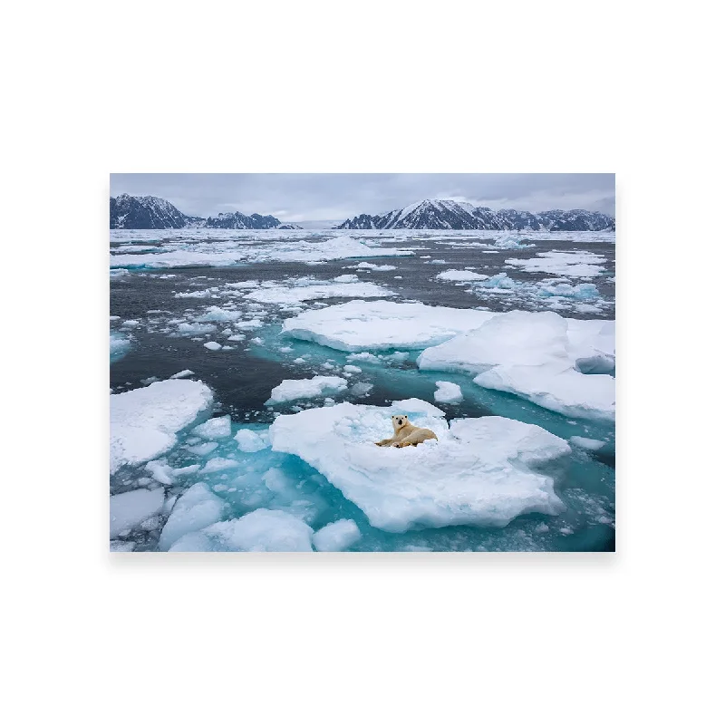 coastal tropical geometric canvas paintings-Polar Bear - Greenland