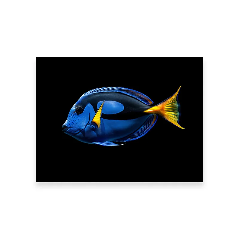 nature-inspired abstract geometric beach paintings-Regal Blue Tang FIsh