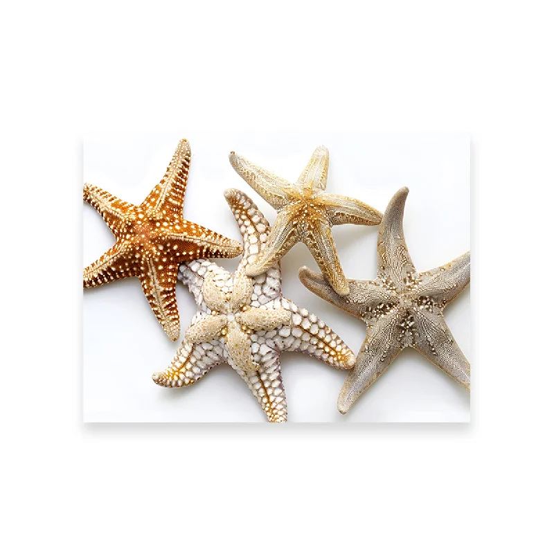 vintage retro floral nature canvas art-Starfishes