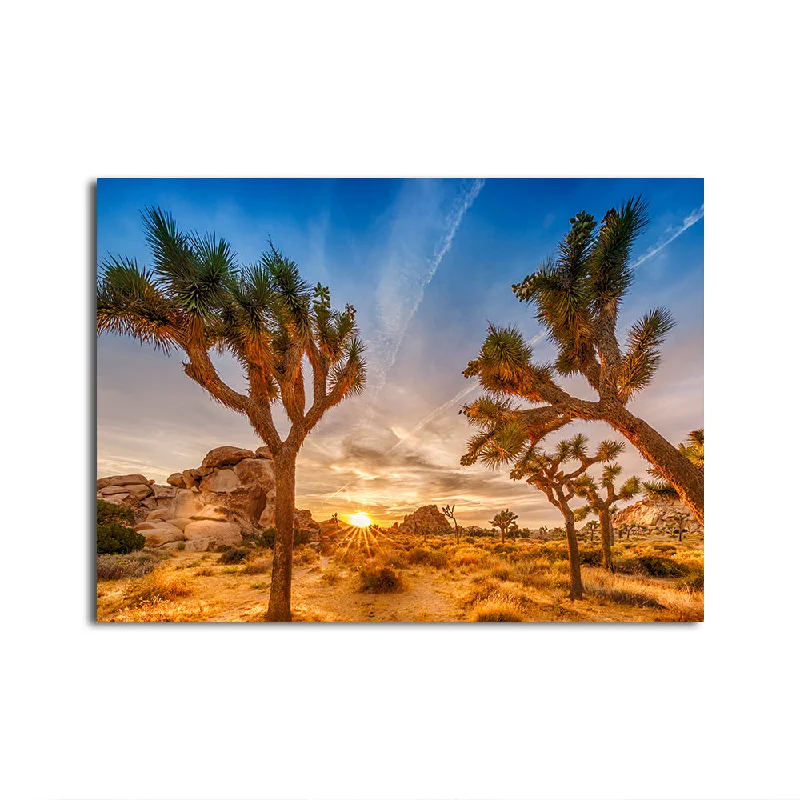 geometric vintage abstract nature paintings-Sunset at Joshua Tree National Park